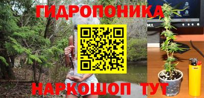 прущие крисы Севастополь