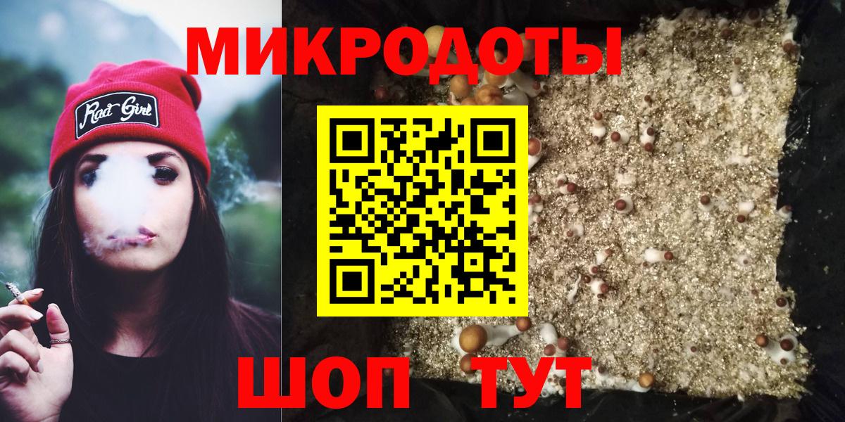 Галлюциногенные грибы Psilocybine cubensis Ачхой-Мартан