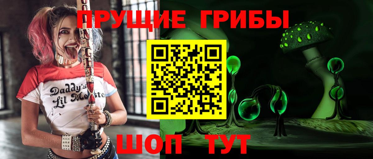 Ачхой-Мартан  Галлюциногенные грибы MAGIC MUSHROOMS  Вход с VPN 
